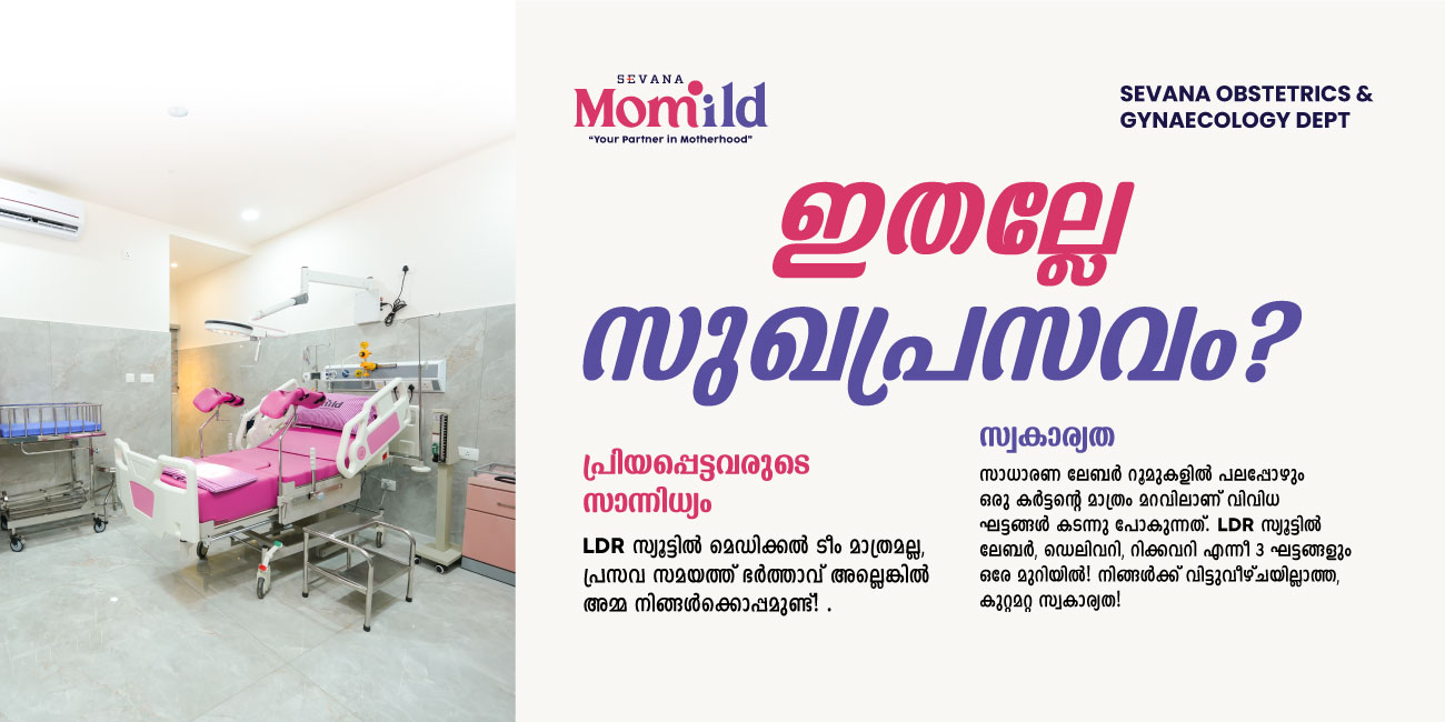 Momild-Web-banner-1-01